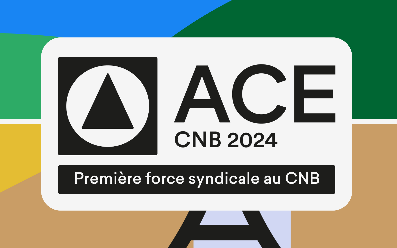 Ace Fr Élections du CNB 2024 : l'ACE se maintient première force syndicale ...