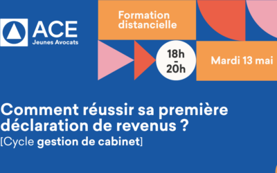 Comment réussir sa première déclaration de revenus ? – Formation distancielle – mardi 13 mai 2025