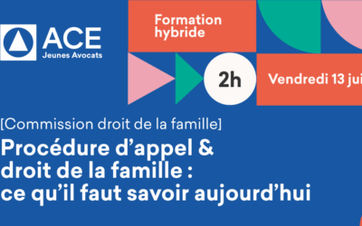 Procédure d’appel & droit de la famille : ce qu’il faut savoir aujourd’hui – Formation hybride – Vendredi 13 juin 2025