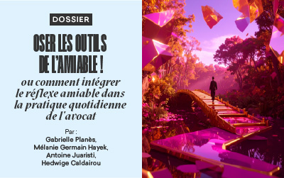 La revue de l’ACE n°164 – Dossier – Oser les outils de l’amiable ! ou comment intégrer le réflexe amiable dans la pratique quotidienne de l’avocat